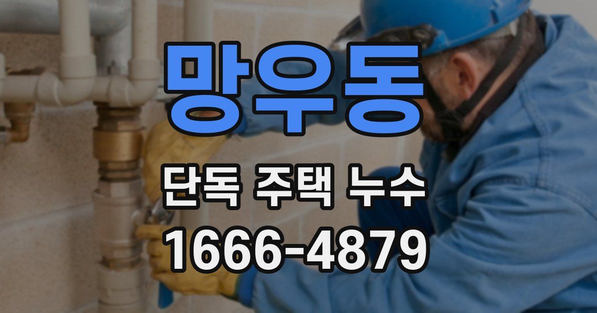 망우동 단독 주택 누수