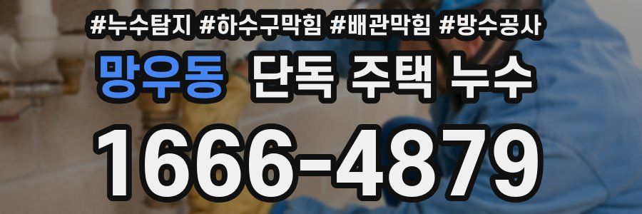 망우동 단독 주택 누수