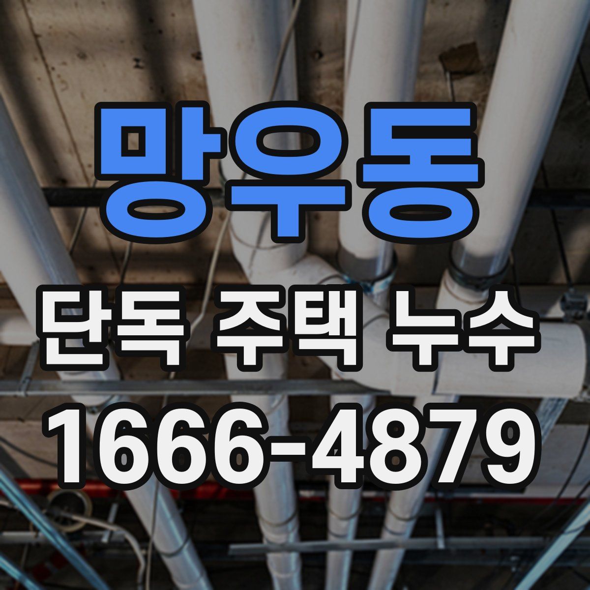 망우동 단독 주택 누수