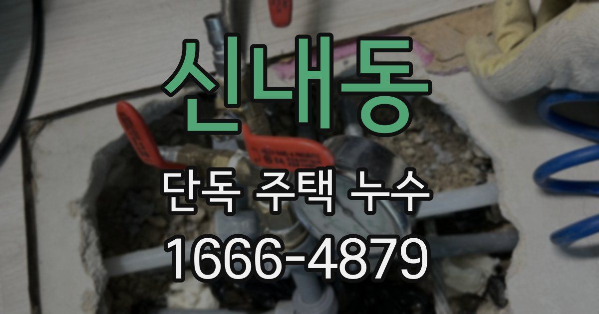 신내동 단독 주택 누수