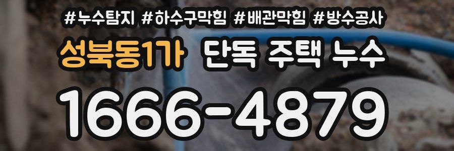 성북동1가 단독 주택 누수