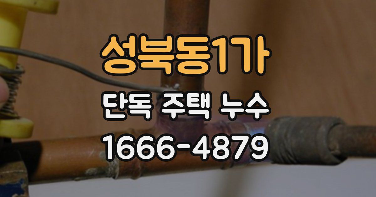 성북동1가 단독 주택 누수
