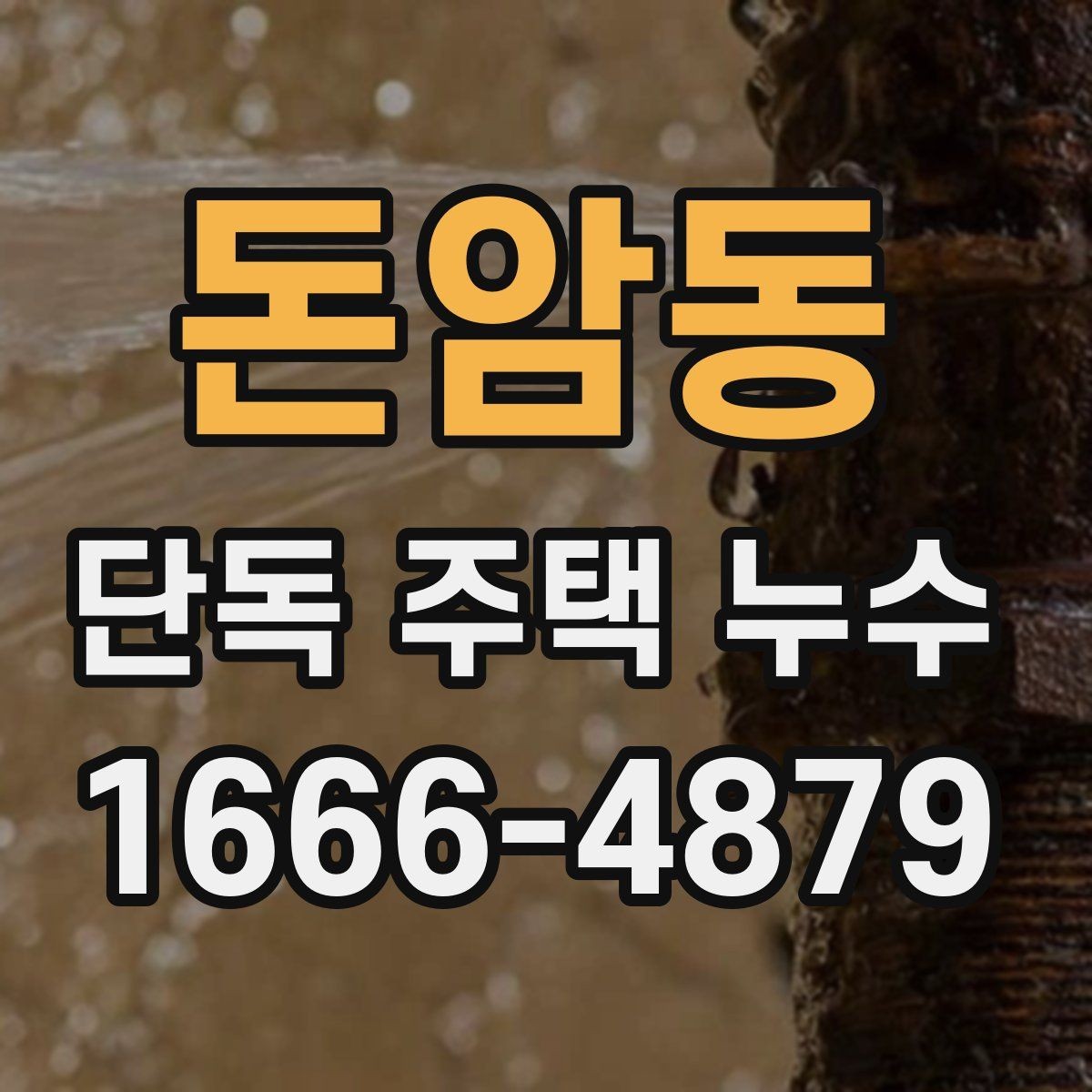 돈암동 단독 주택 누수 확인 후 다음 단계 안내