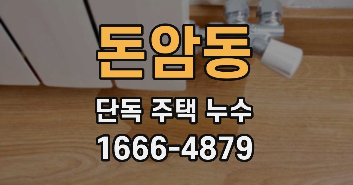 돈암동 단독 주택 누수