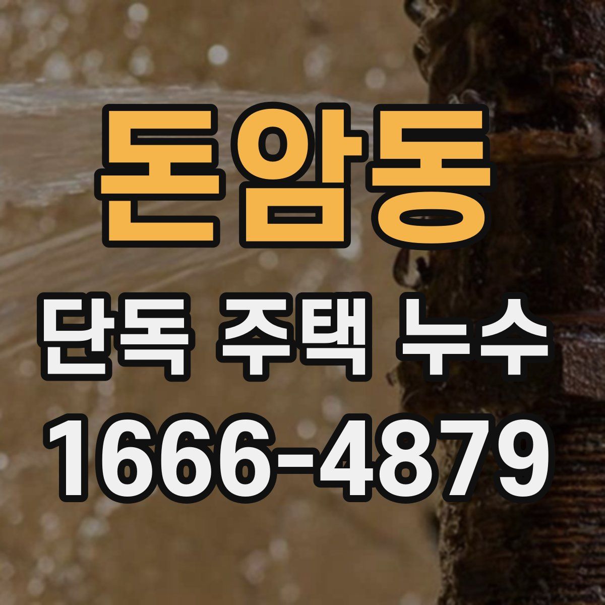 돈암동 단독 주택 누수
