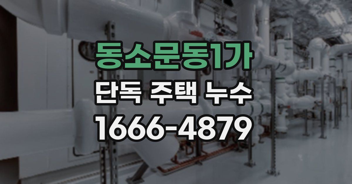 동소문동1가 단독 주택 누수