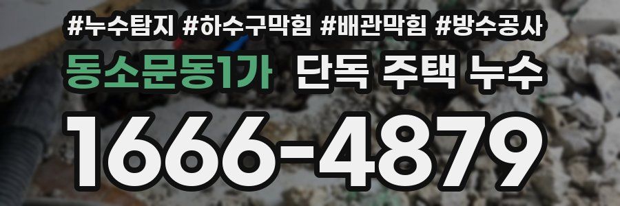 동소문동1가 단독 주택 누수