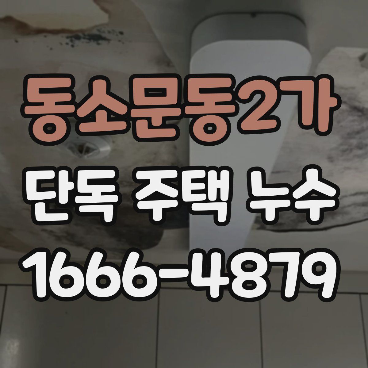 동소문동2가 단독 주택 누수
