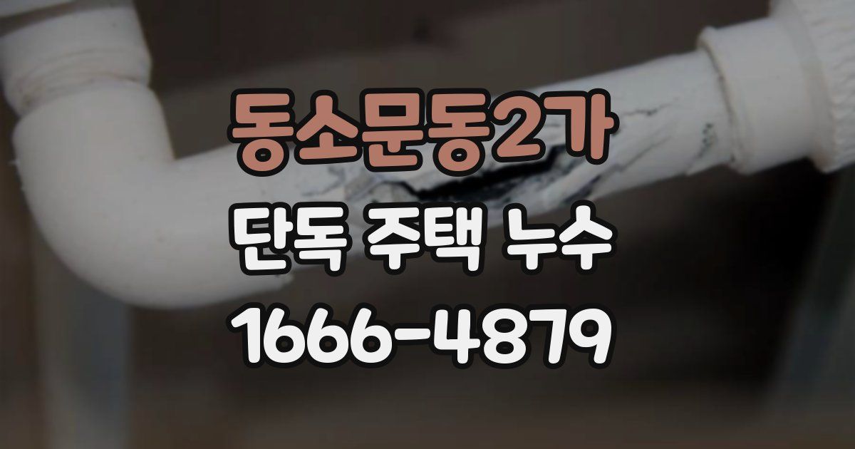 동소문동2가 단독 주택 누수