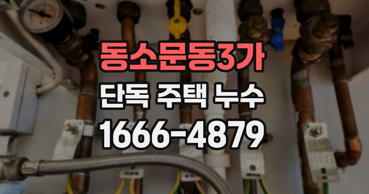 동소문동3가 단독 주택 누수