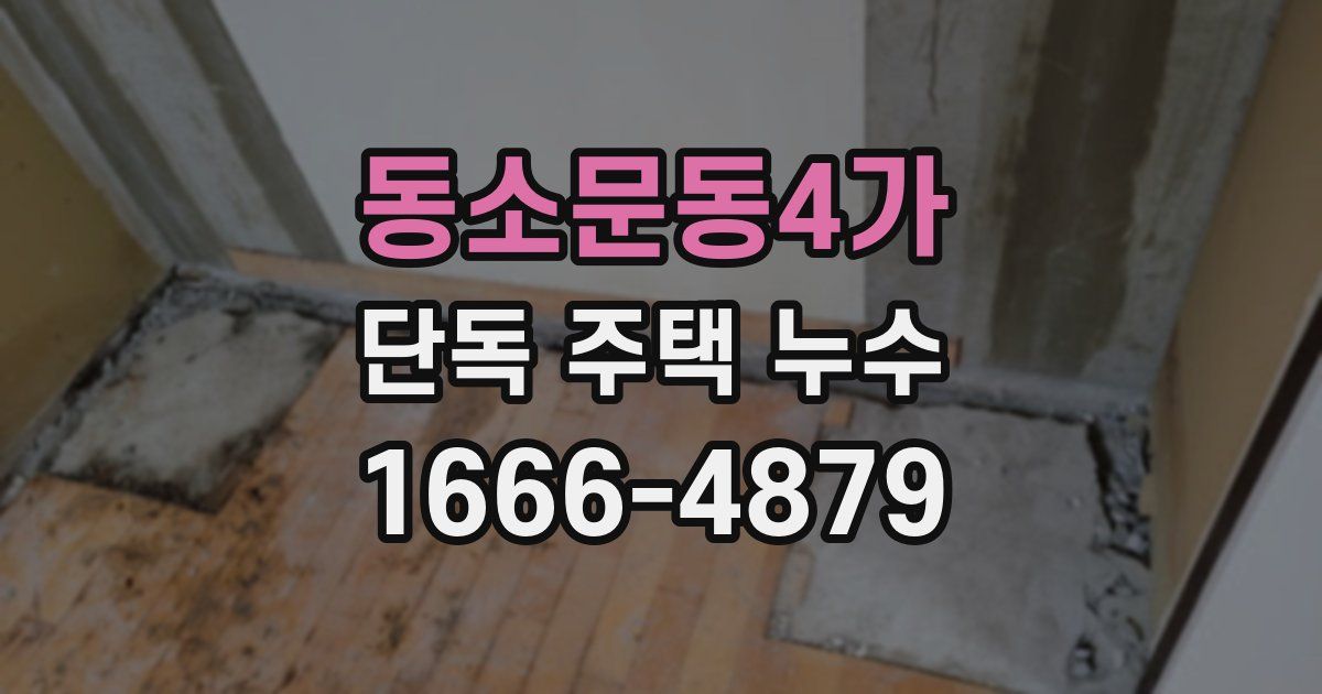 동소문동4가 단독 주택 누수