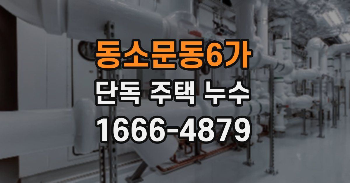 동소문동6가 단독 주택 누수