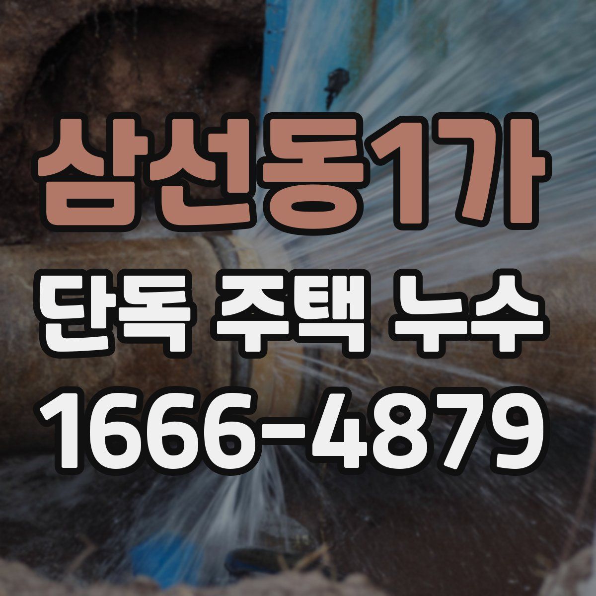 삼선동1가 단독 주택 누수