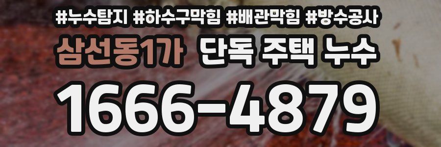 삼선동1가 단독 주택 누수