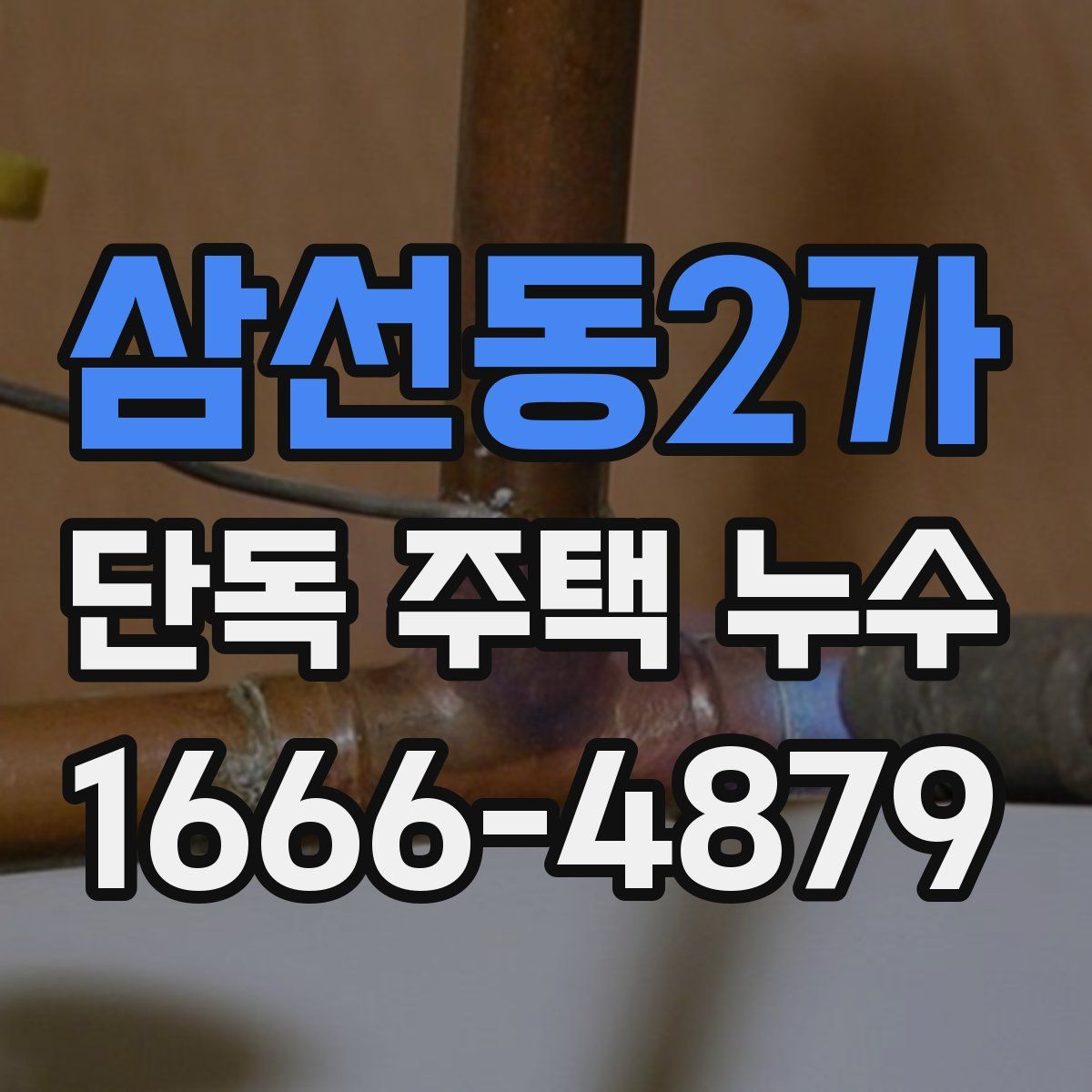 삼선동2가 단독 주택 누수