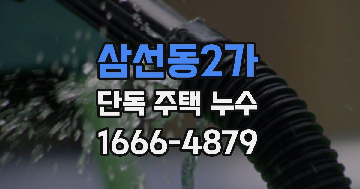삼선동2가 단독 주택 누수