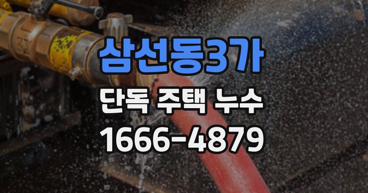 삼선동3가 단독 주택 누수