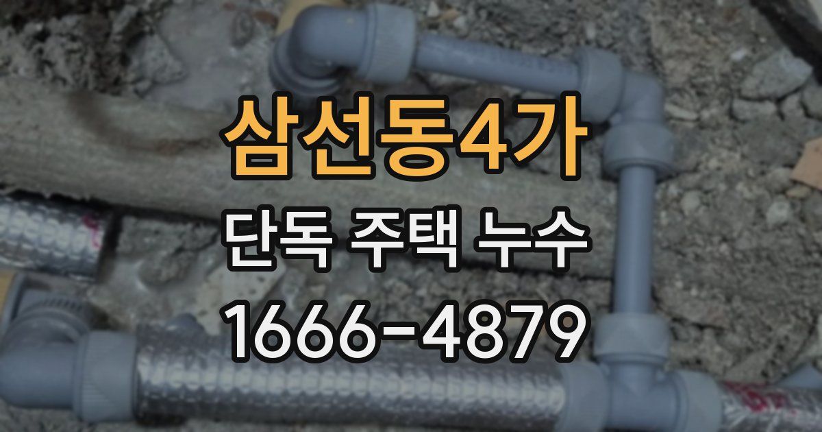 삼선동4가 단독 주택 누수