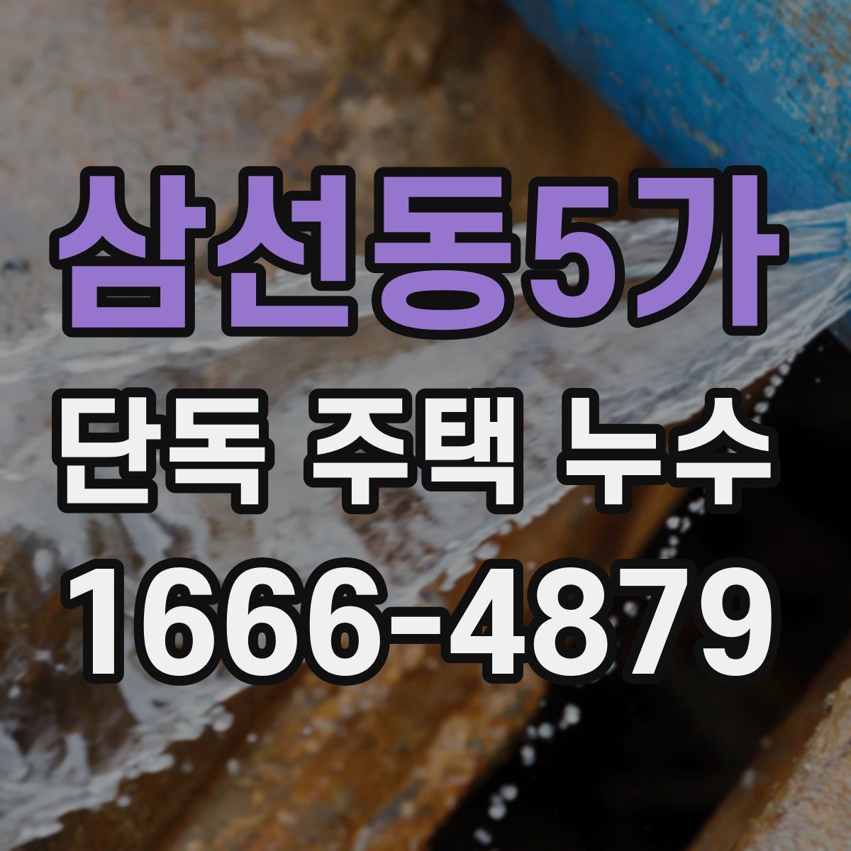 삼선동5가 단독 주택 누수
