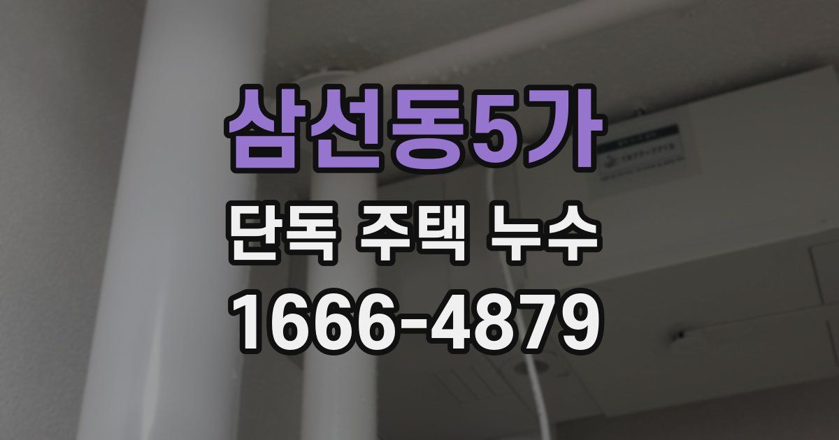 삼선동5가 단독 주택 누수