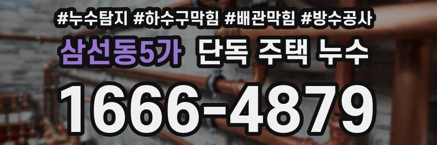삼선동5가 단독 주택 누수