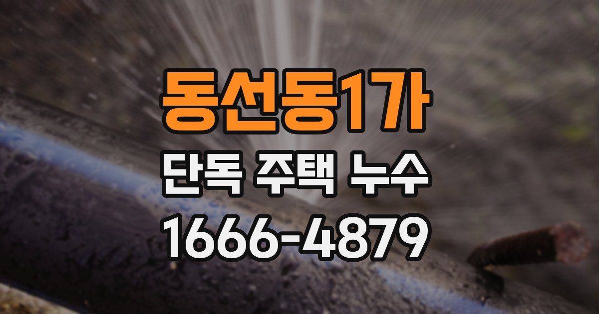 동선동1가 단독 주택 누수