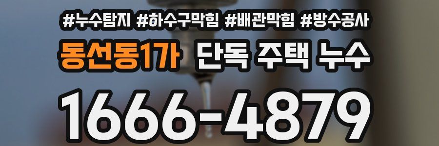 동선동1가 단독 주택 누수