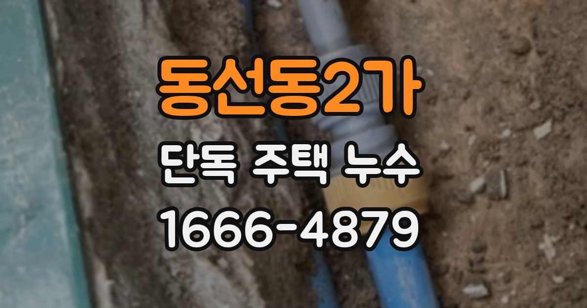 동선동2가 단독 주택 누수