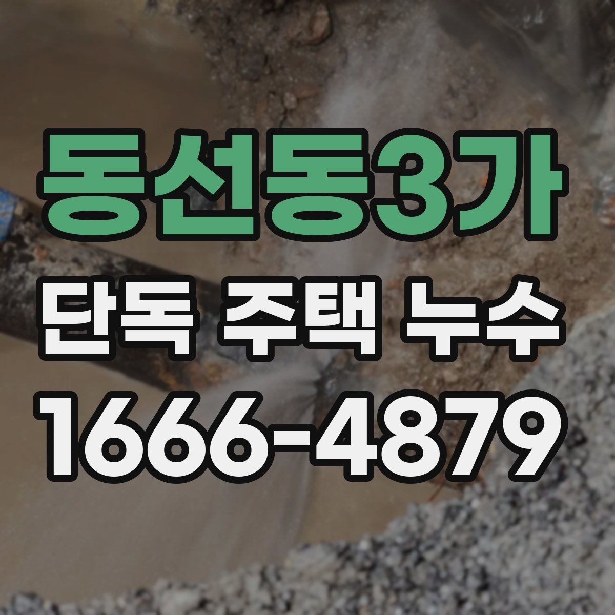 동선동3가 단독 주택 누수 위치별 확인 방법 정리