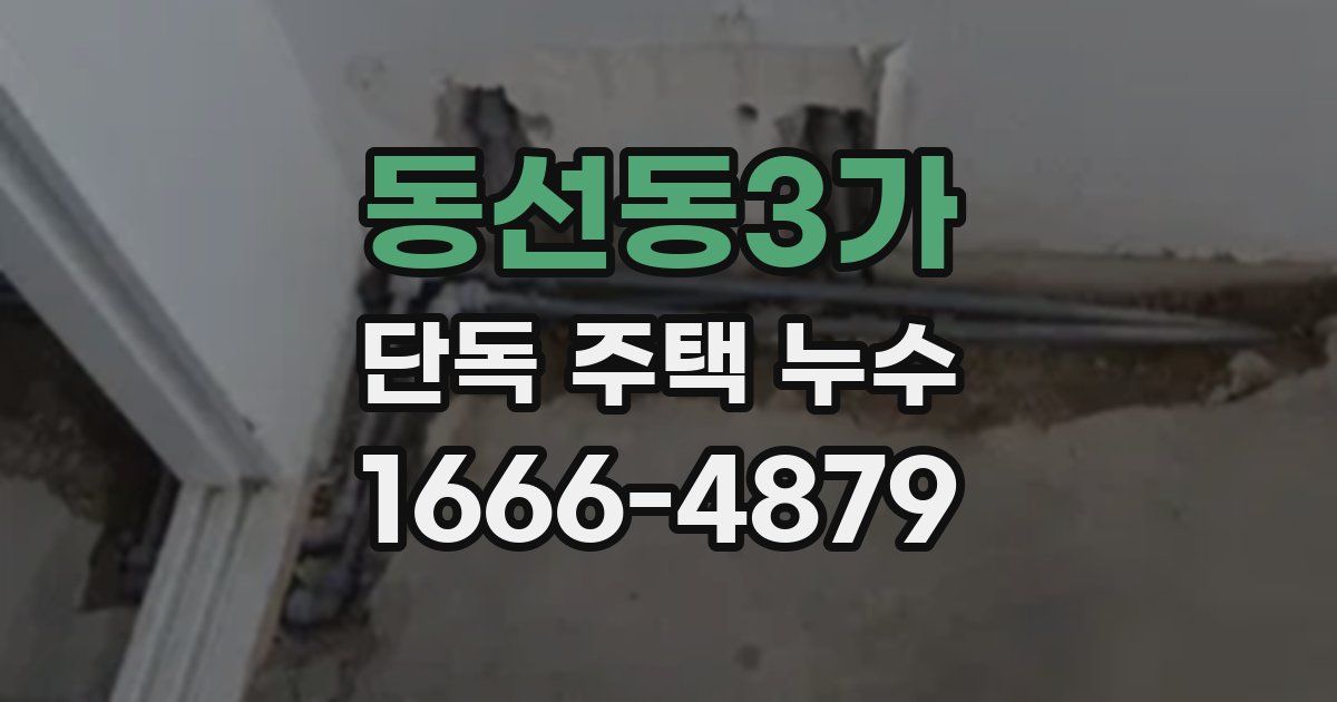 동선동3가 단독 주택 누수