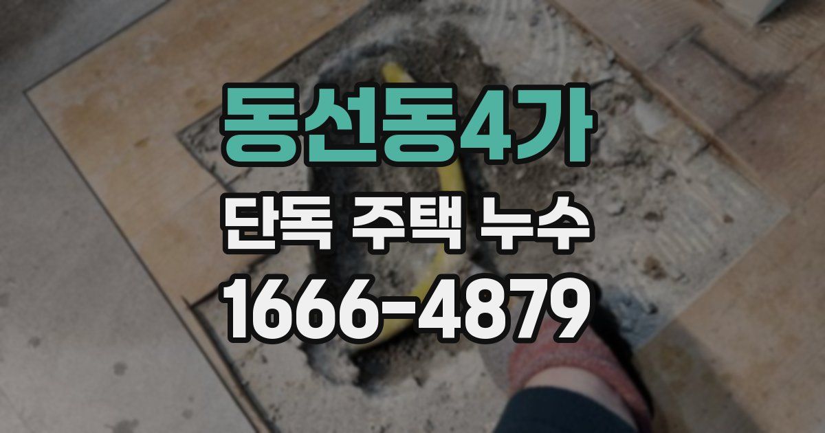 동선동4가 단독 주택 누수