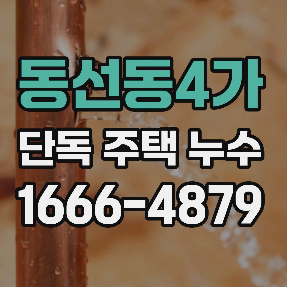 동선동4가 단독 주택 누수