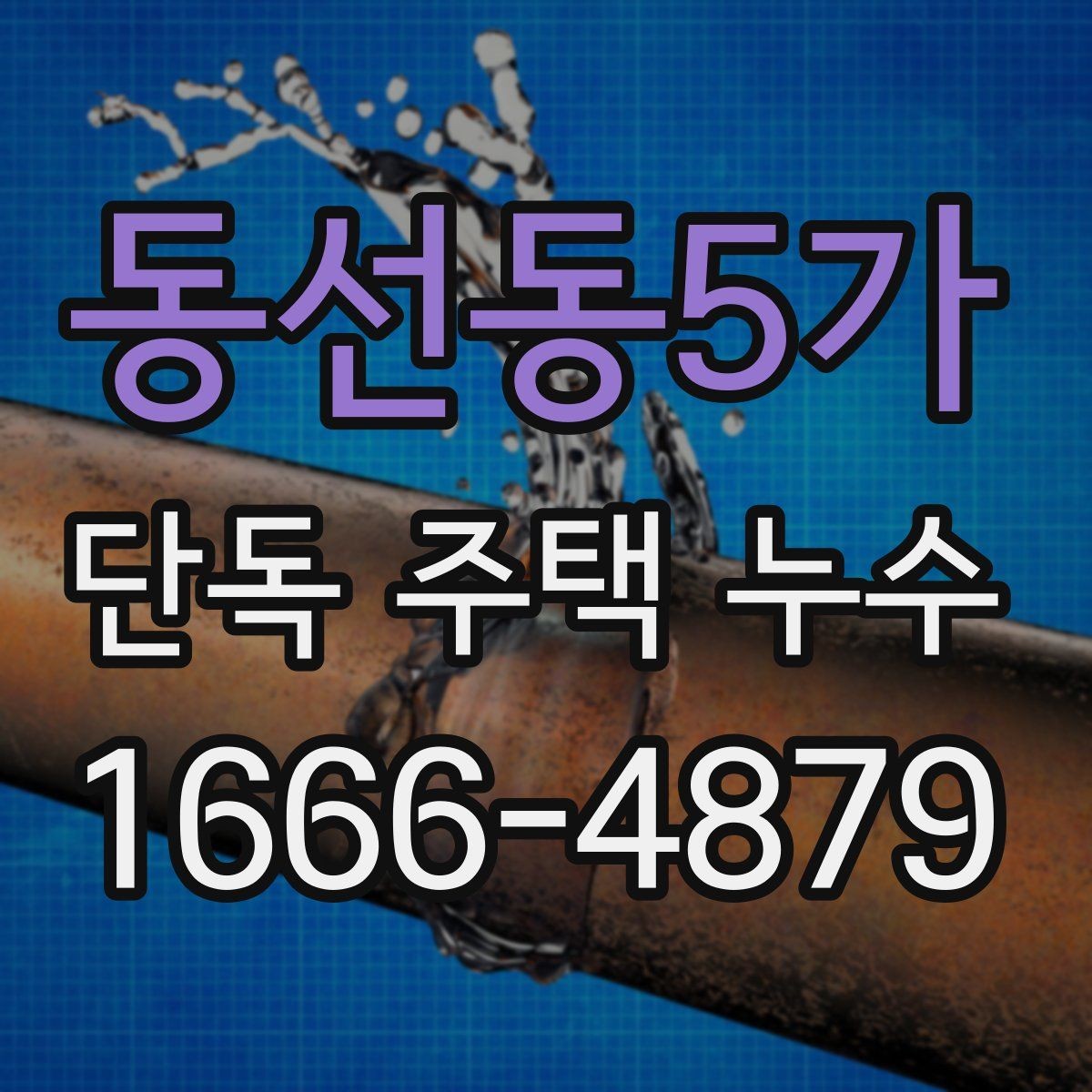 동선동5가 단독 주택 누수 전문 진단이 필요한 상황