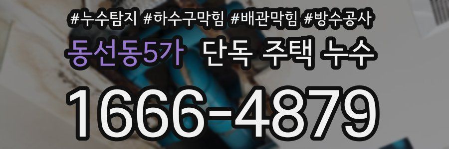 동선동5가 단독 주택 누수