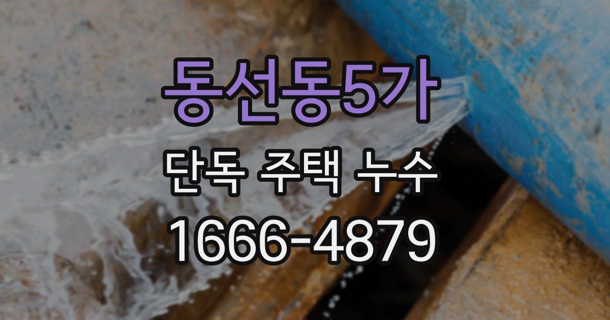 동선동5가 단독 주택 누수