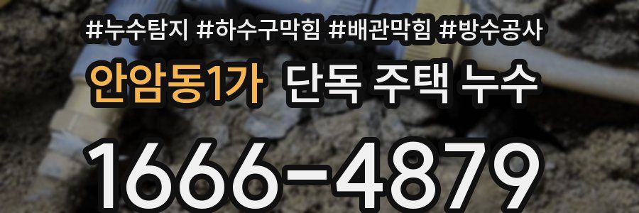 안암동1가 단독 주택 누수