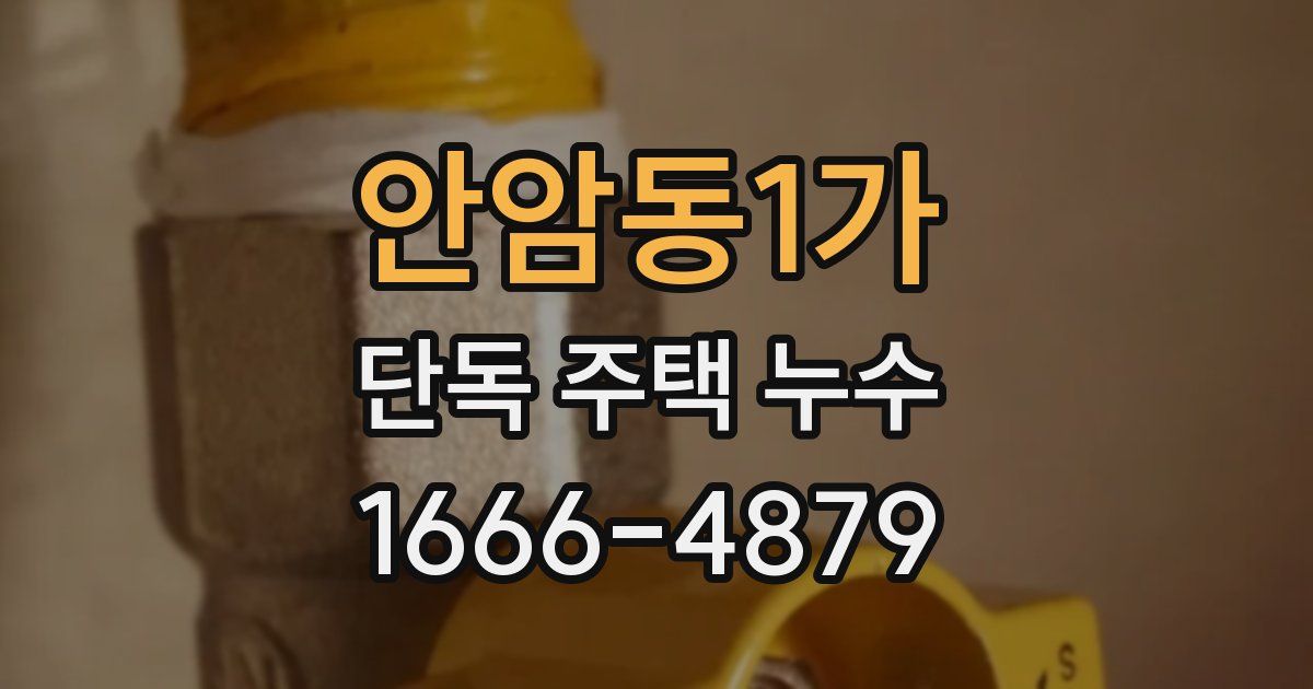 안암동1가 단독 주택 누수