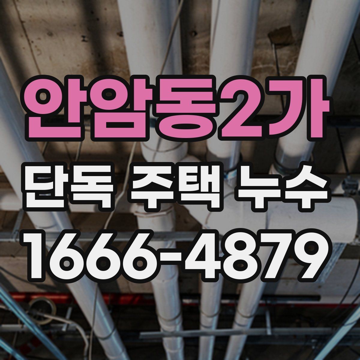 안암동2가 단독 주택 누수 문제를 늦추지 말아야 하는 이유