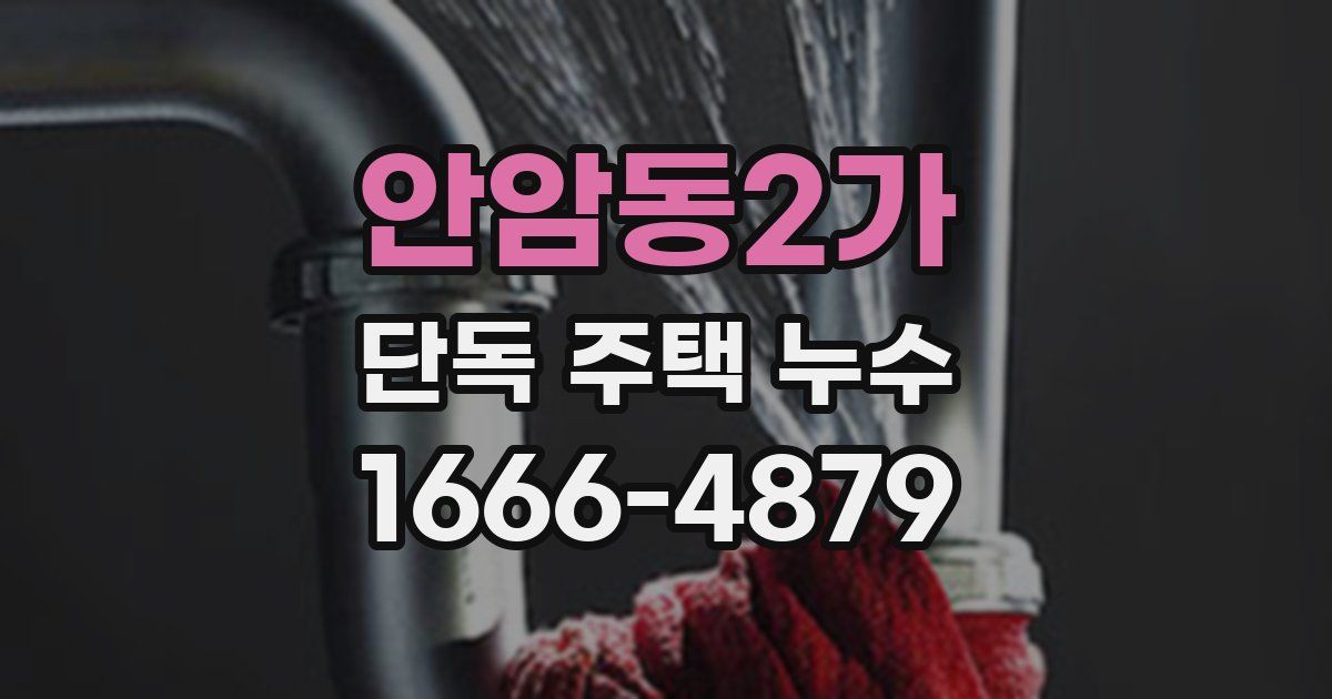 안암동2가 단독 주택 누수