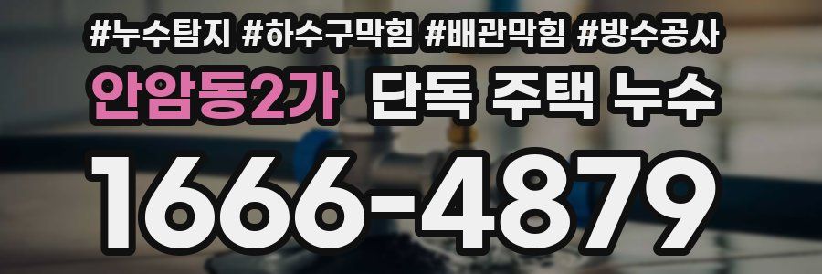 안암동2가 단독 주택 누수