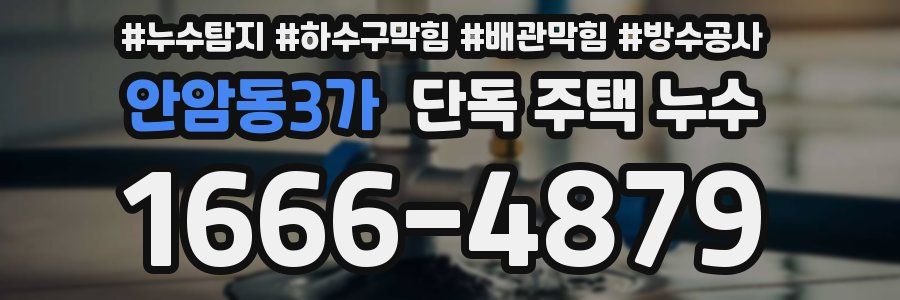 안암동3가 단독 주택 누수