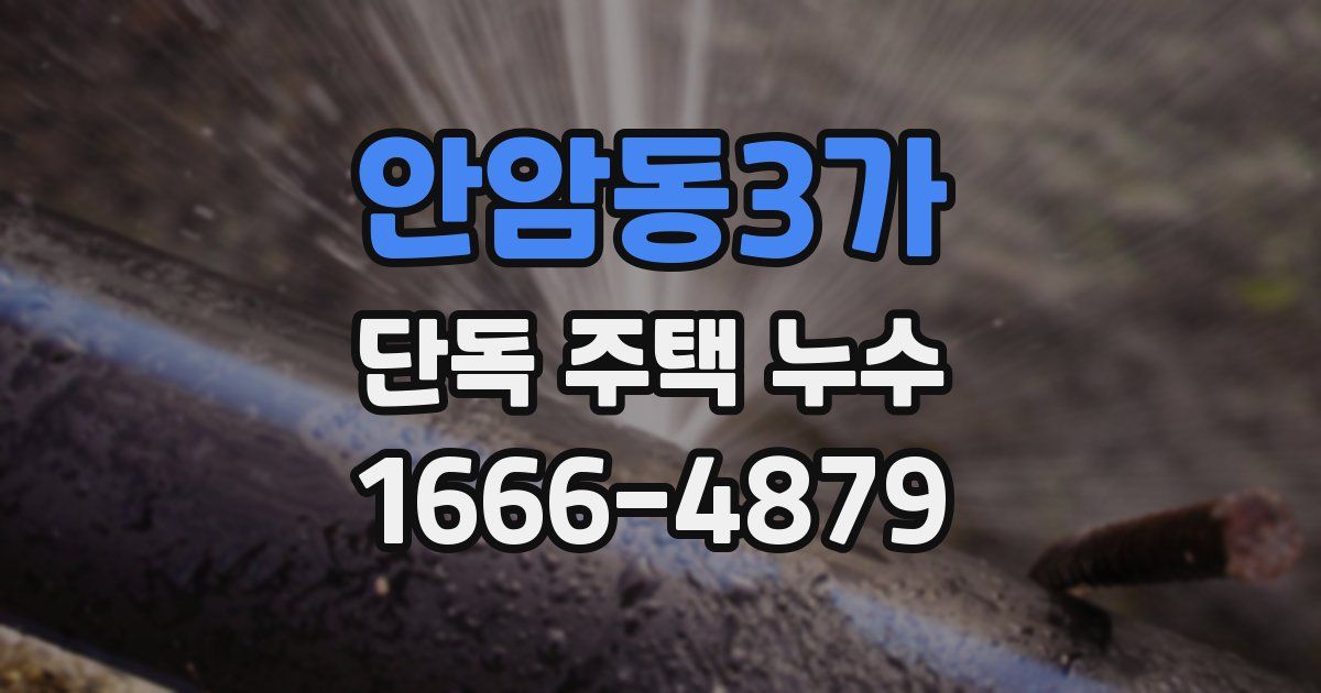 안암동3가 단독 주택 누수