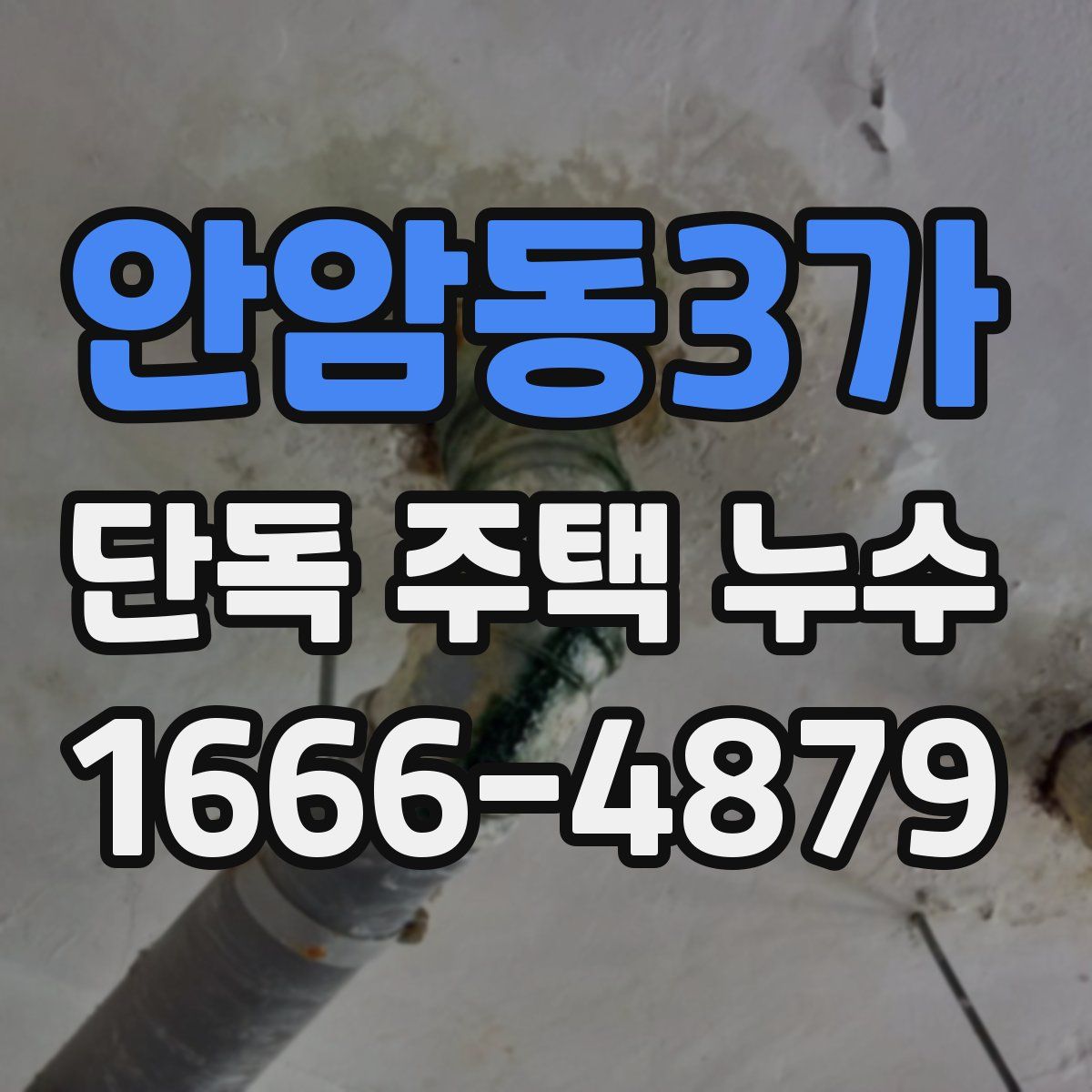 안암동3가 단독 주택 누수