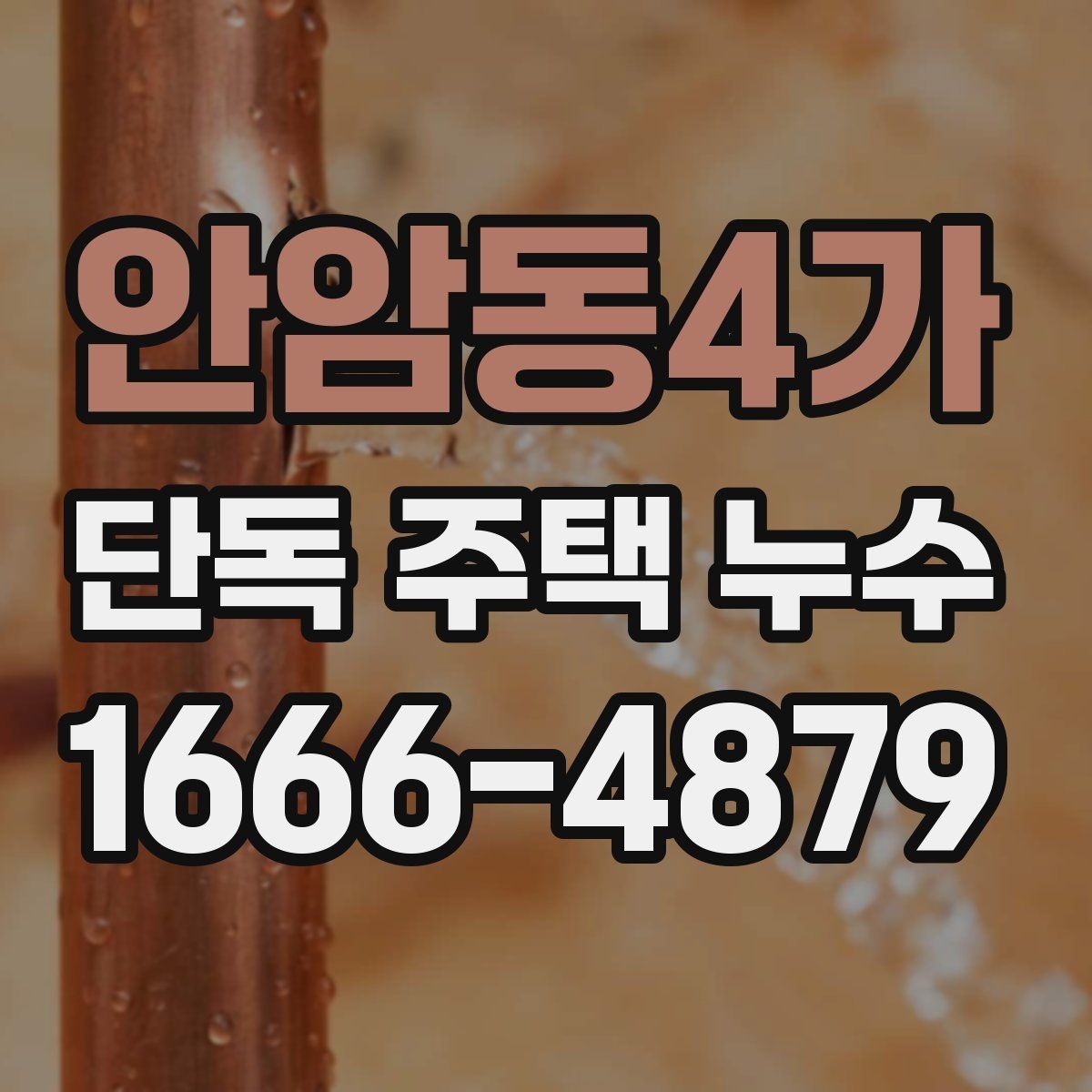 안암동4가 단독 주택 누수 점검으로 알 수 있는 구조 문제