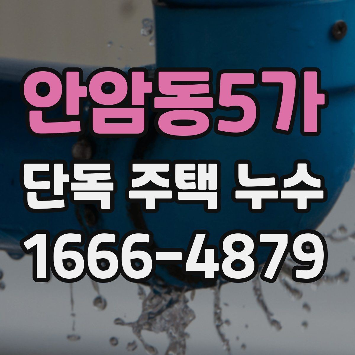 안암동5가 단독 주택 누수 사진과 메모로 남겨두면 좋은 정보