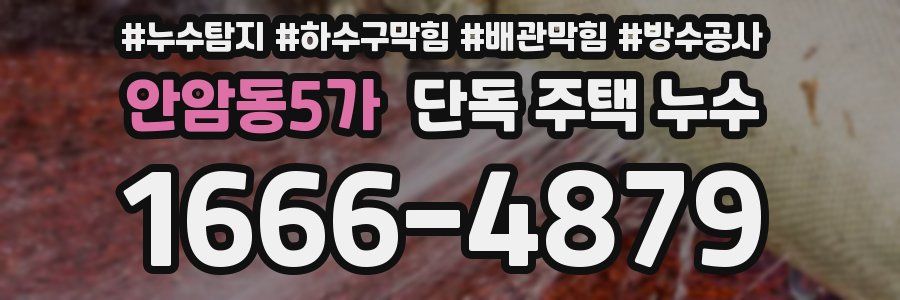 안암동5가 단독 주택 누수