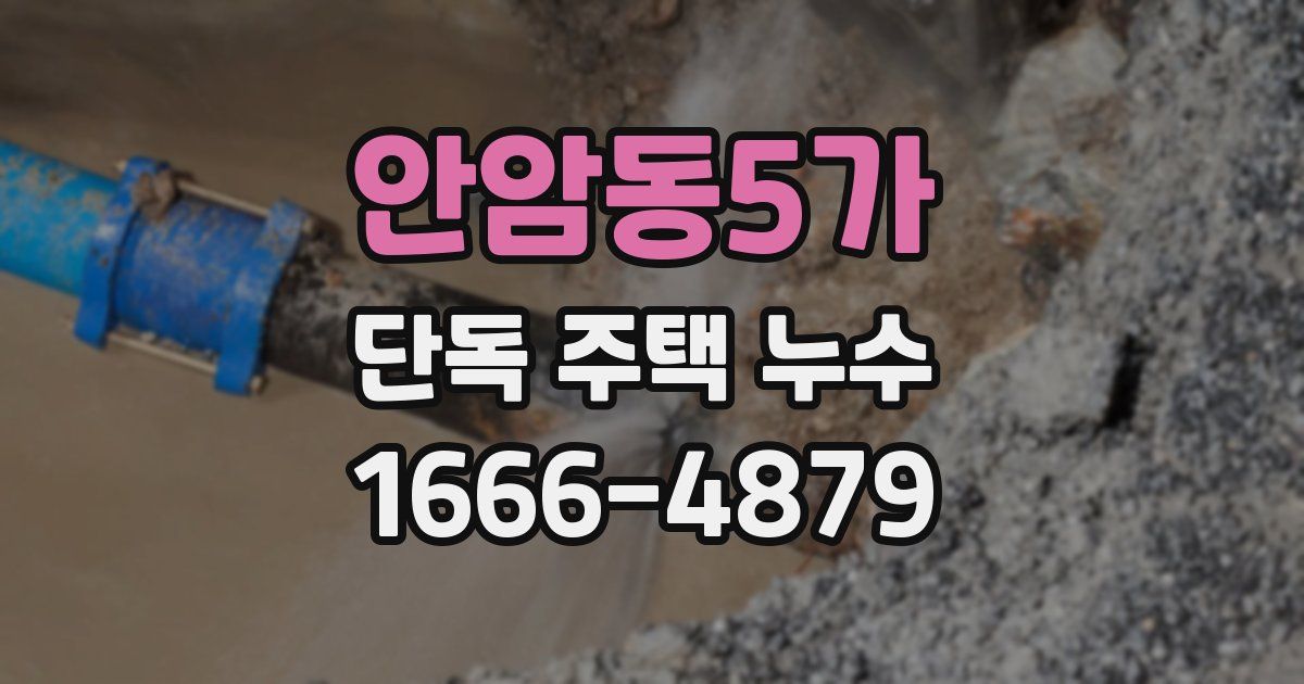 안암동5가 단독 주택 누수