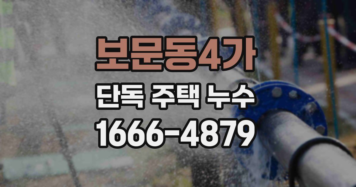 보문동4가 단독 주택 누수