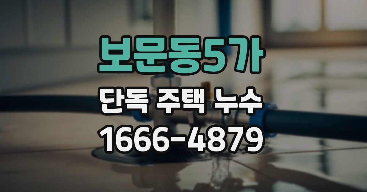 보문동5가 단독 주택 누수