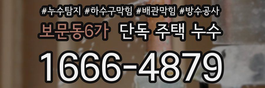 보문동6가 단독 주택 누수